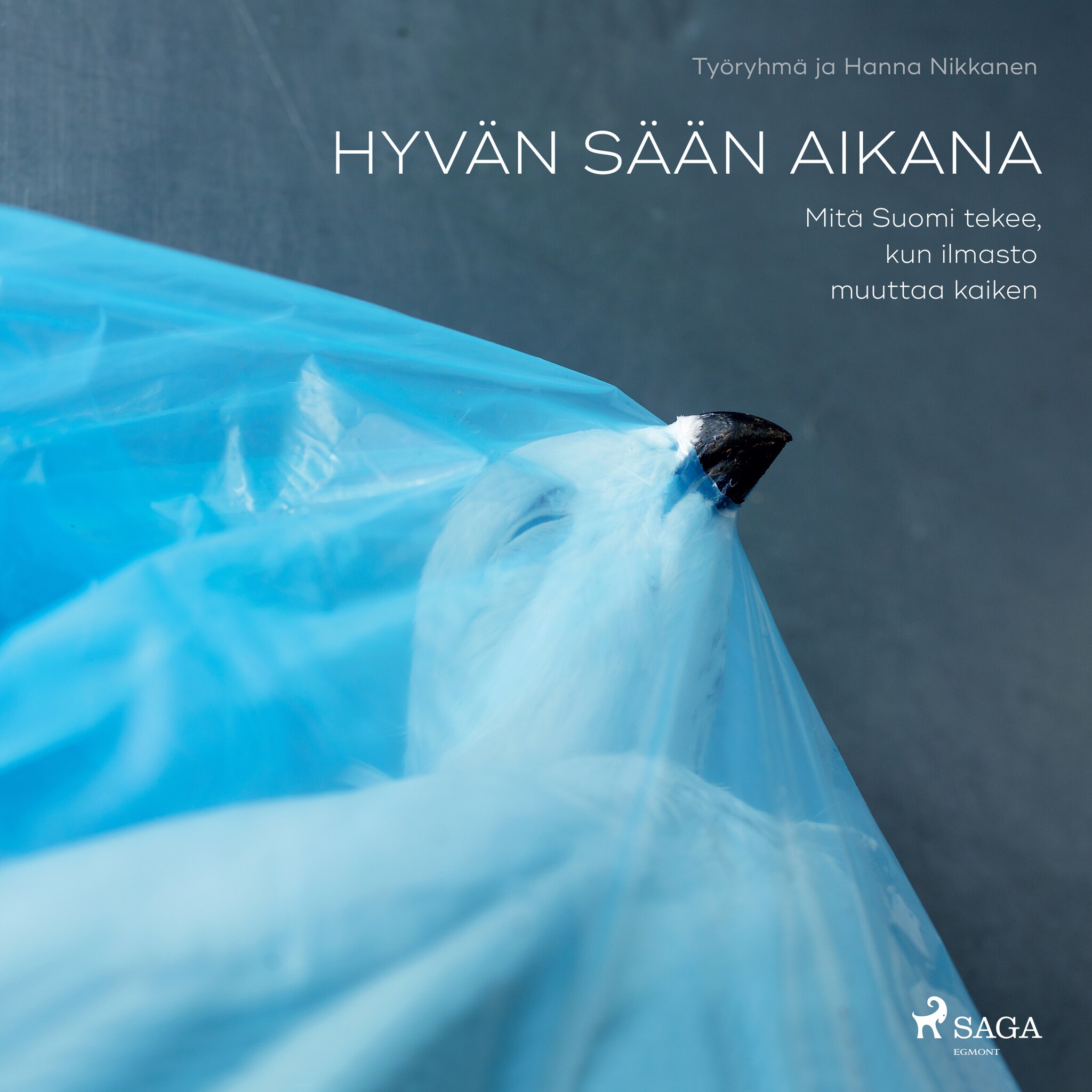 Hyvän sään aikana – Hanna Nikkanen