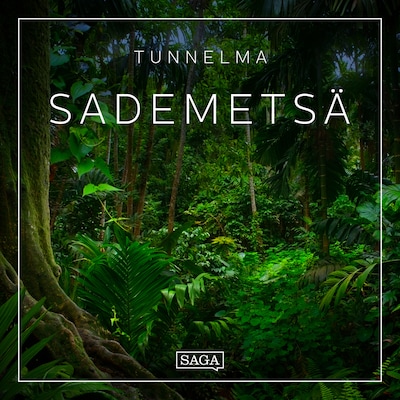 Tunnelma – Sademetsä – Rasmus Broe