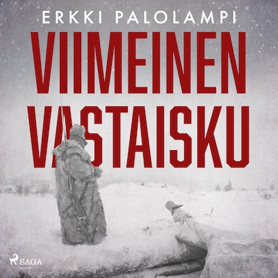 Viimeinen vastaisku – Erkki Palolampi