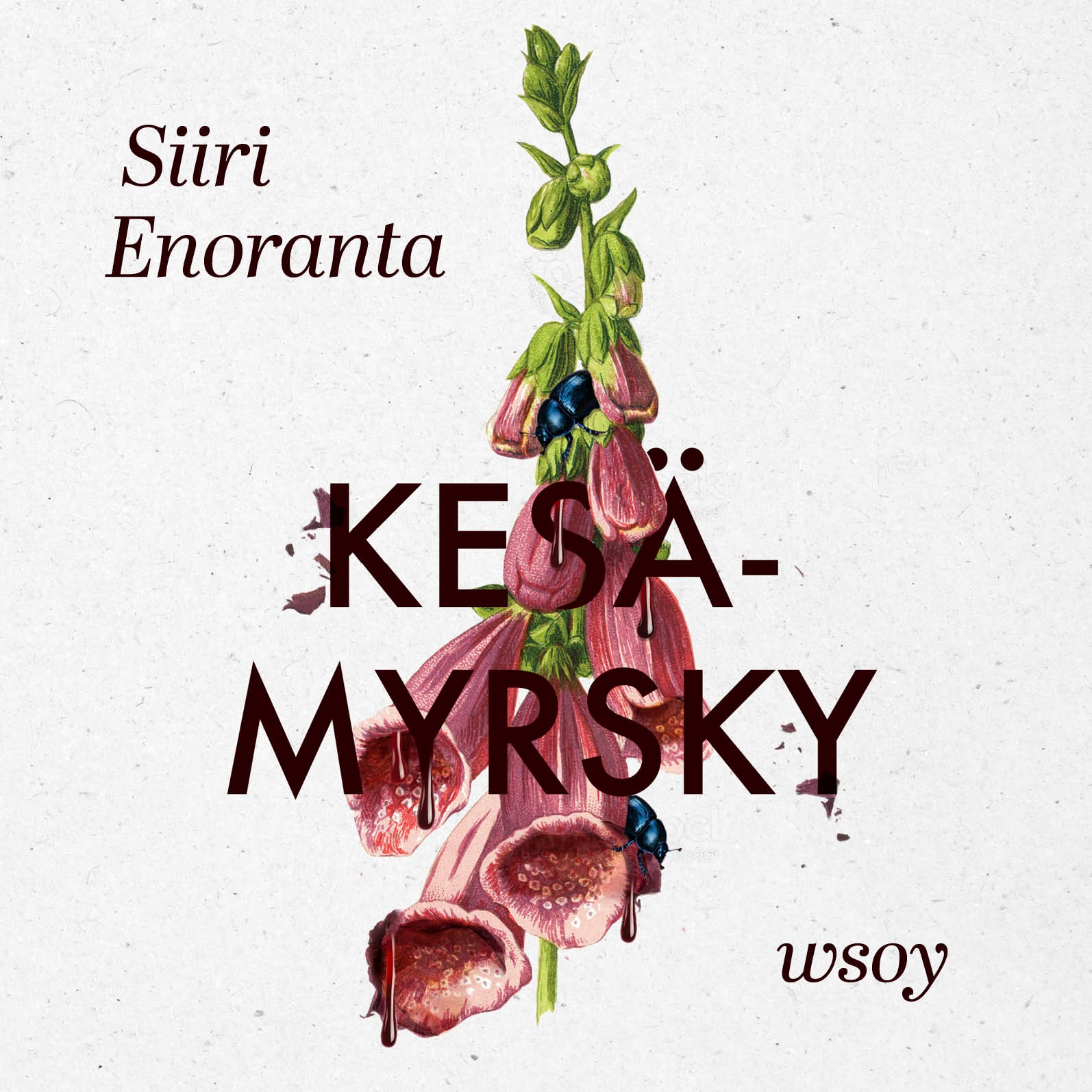 Kesämyrsky – Siiri Enoranta