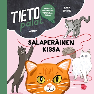 Tietopalat: Salaperäinen kissa – Sara Lumme