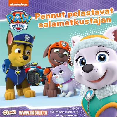 Ryhmä Hau – Pennut pelastavat salamatkustajan – Useita tekijöitä