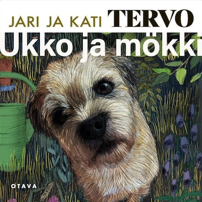 Ukko ja mökki – Jari Tervo