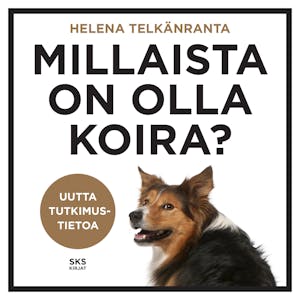 Millaista on olla koira? – Helena Telkänranta