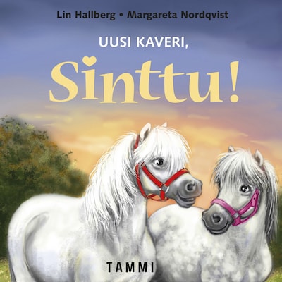 Uusi kaveri, Sinttu! – Lin Hallberg