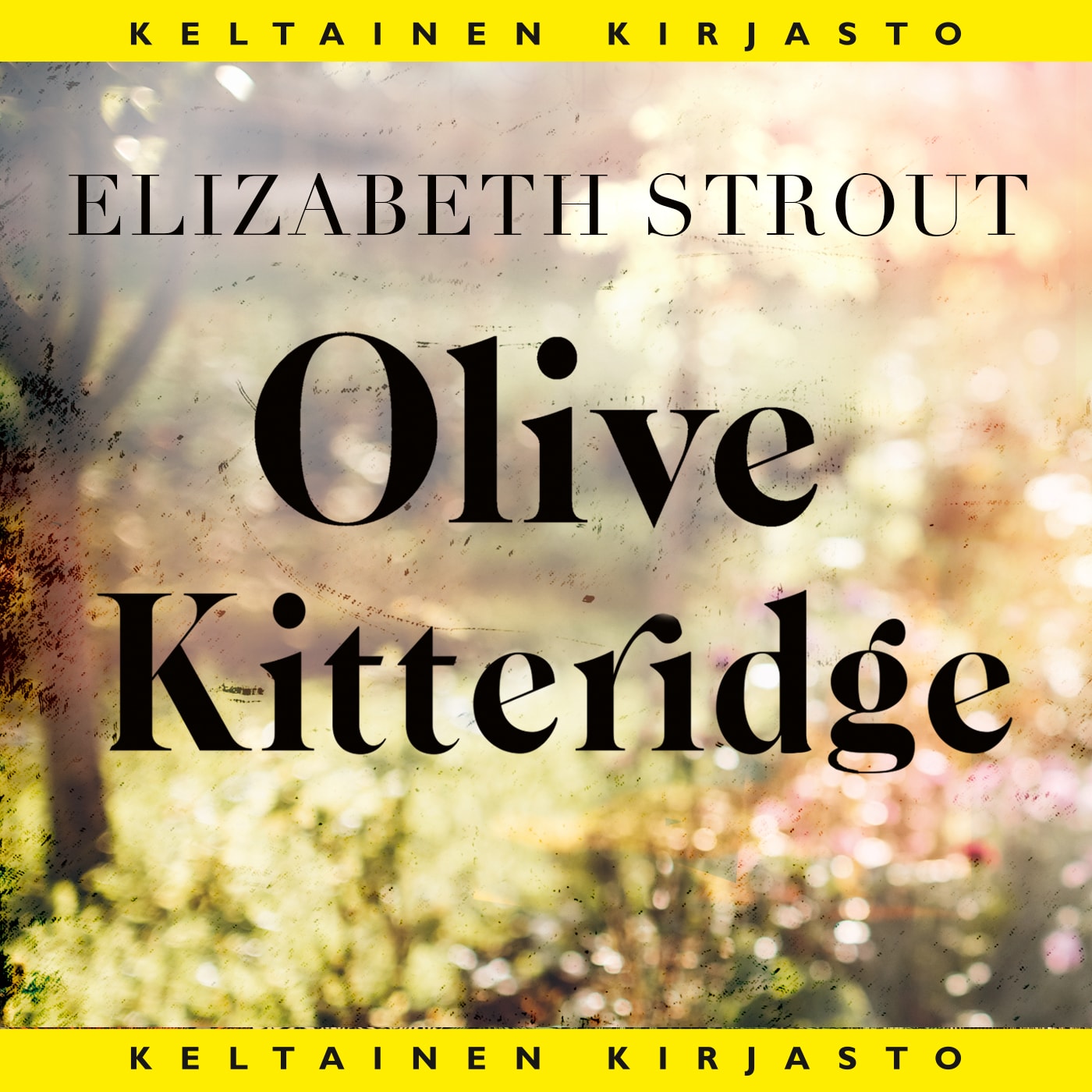 Olive Kitteridge – Elizabeth Strout