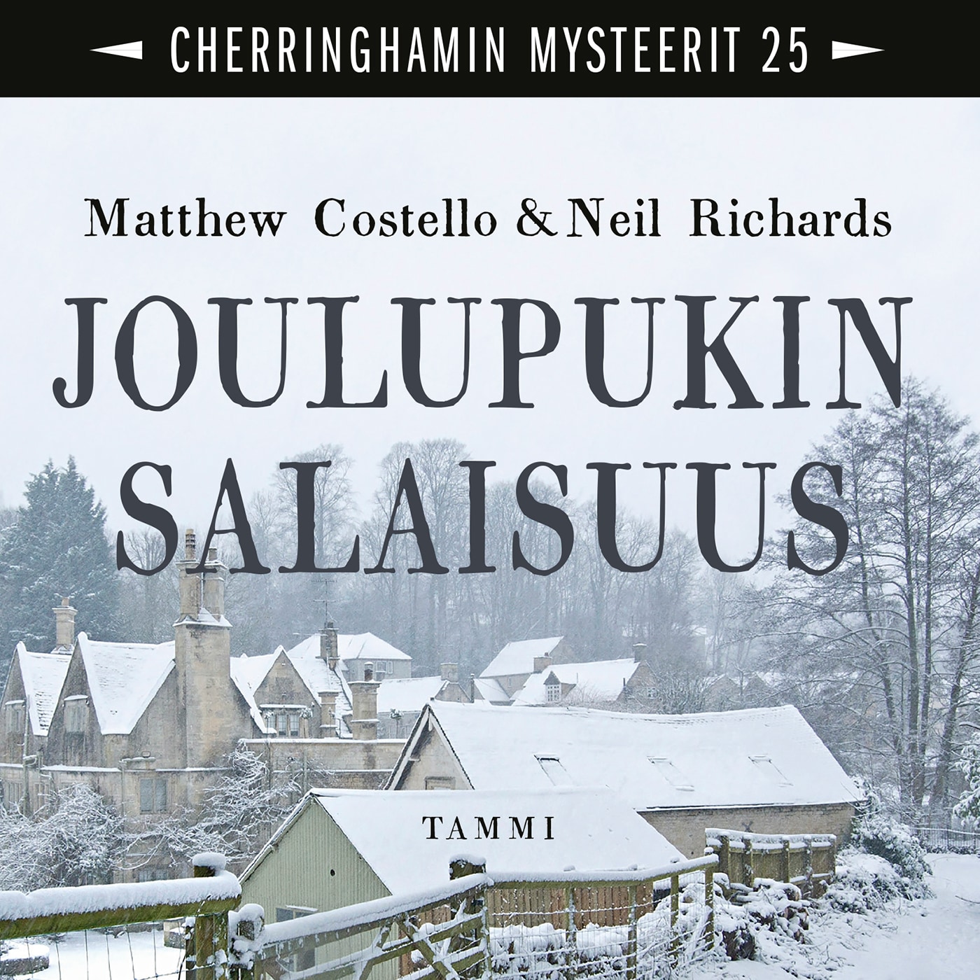 Joulupukin salaisuus – Matthew Costello