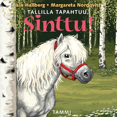 Tallilla tapahtuu, Sinttu – Lin Hallberg