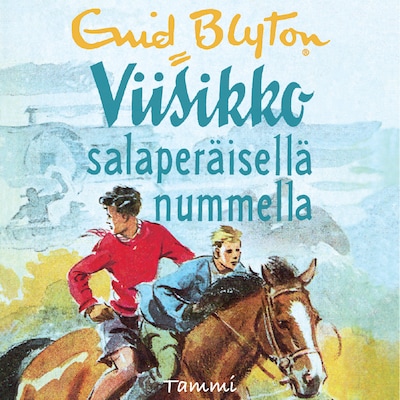 Viisikko salaperäisellä nummella – Enid Blyton