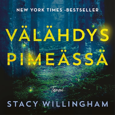 Välähdys pimeässä – Stacy Willingham