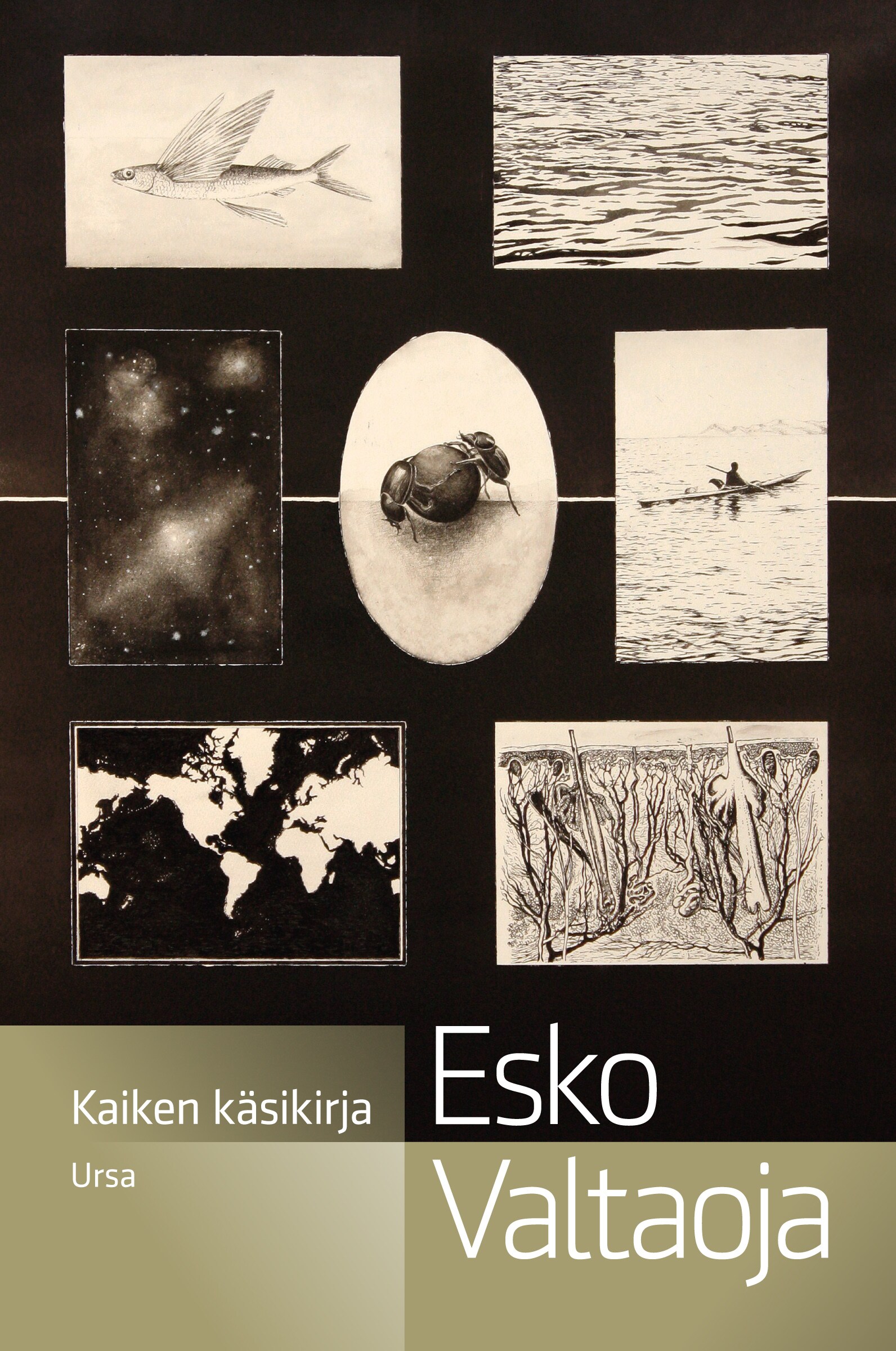 Kaiken käsikirja – Esko Valtaoja